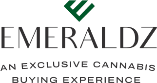 new logo